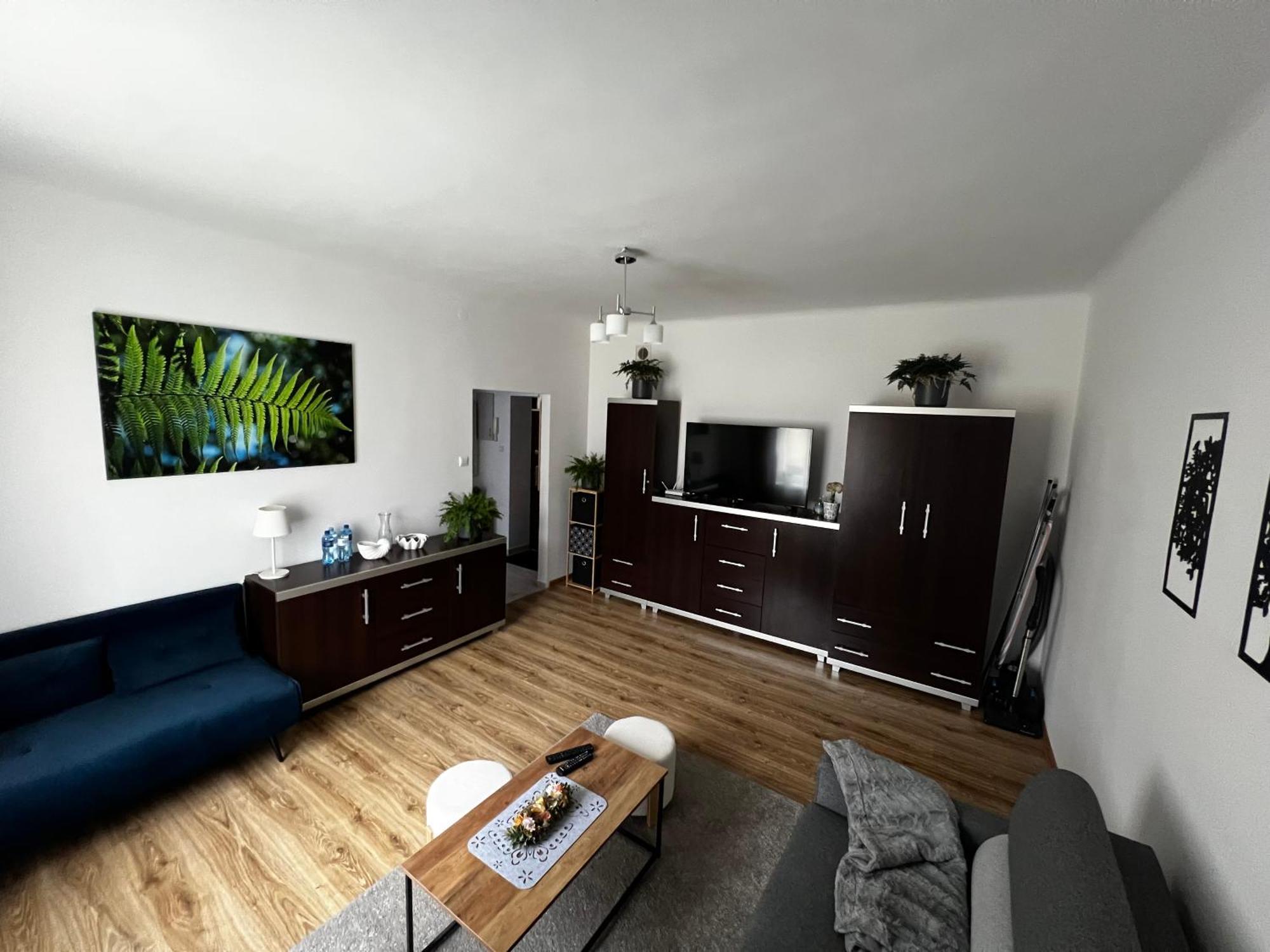 Apartament Paprotka Skarżysko-Kamienna Εξωτερικό φωτογραφία